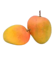 Ratnagiri Alphonso Mangoes- A Grade